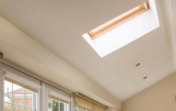 Dalelia conservatory roof insulation companies