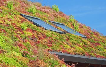 Dalelia living roof systems