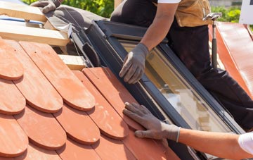 replacement Dalelia roof windows