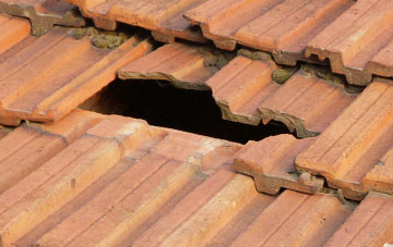roof repair Dalelia, Highland