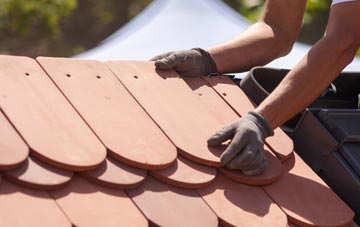 Dalelia roof tile contractors