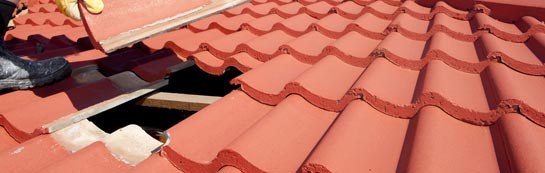 compare Dalelia roof repair quotes