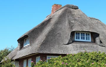 thatch roofing Dalelia, Highland
