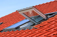 Dalelia roof window