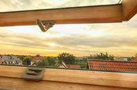 rated Dalelia roof window companies